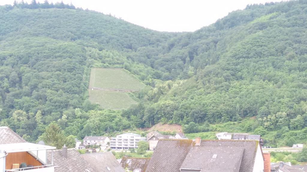 Gaestehaus Kiesgen-Mendgen Bernkastel-Kues Ngoại thất bức ảnh
